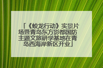 《蛟龙行动》实景片场暨青岛东方影都国防主题文旅研学基地在青岛西海岸新区开业