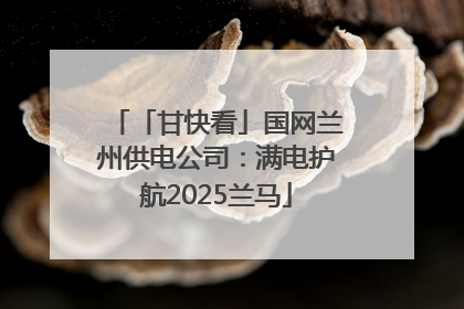 「甘快看」国网兰州供电公司：满电护航2025兰马
