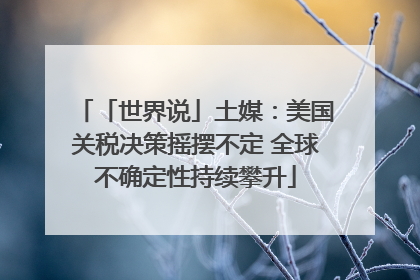 「世界说」土媒：美国关税决策摇摆不定 全球不确定性持续攀升