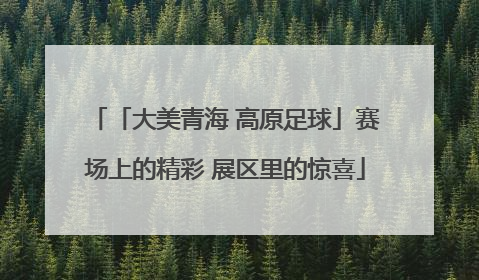 「大美青海 高原足球」赛场上的精彩 展区里的惊喜