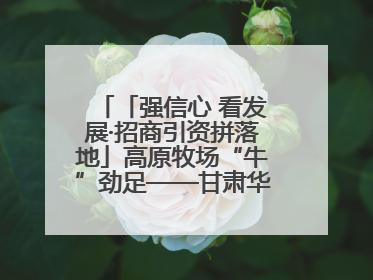 「强信心 看发展·招商引资拼落地」高原牧场“牛”劲足——甘肃华予高原牧场高标准奶牛肉牛养殖项目一线见闻