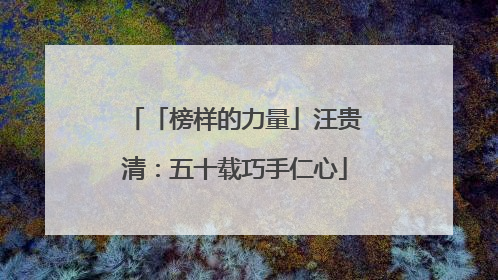 「榜样的力量」汪贵清：五十载巧手仁心