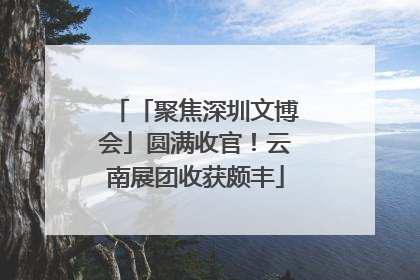 「聚焦深圳文博会」圆满收官！云南展团收获颇丰