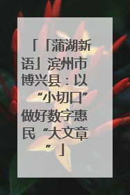 「蒲湖新语」滨州市博兴县：以“小切口”做好数字惠民“大文章”