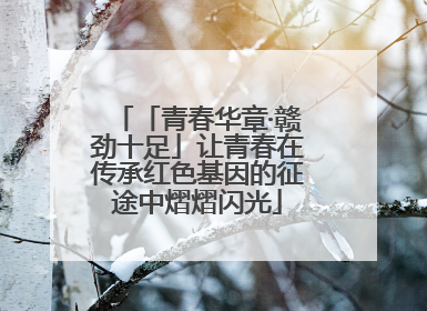 「青春华章·赣劲十足」让青春在传承红色基因的征途中熠熠闪光
