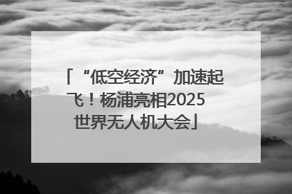 “低空经济”加速起飞！杨浦亮相2025世界无人机大会