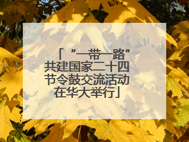 “一带一路”共建国家二十四节令鼓交流活动在华大举行