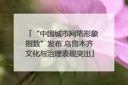“中国城市网络形象指数”发布 乌鲁木齐文化与治理表现突出