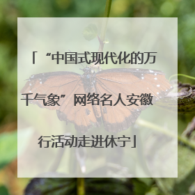 “中国式现代化的万千气象”网络名人安徽行活动走进休宁