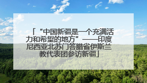 “中国新疆是一个充满活力和希望的地方”——印度尼西亚北苏门答腊省伊斯兰教代表团参访新疆