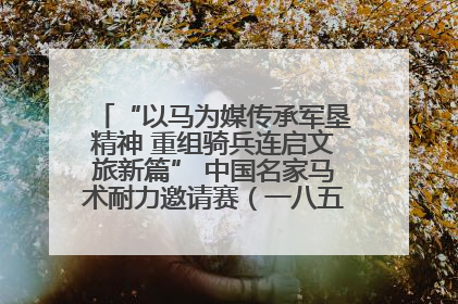 “以马为媒传承军垦精神 重组骑兵连启文旅新篇” 中国名家马术耐力邀请赛（一八五团站）暨重启骑兵连活动正式启动