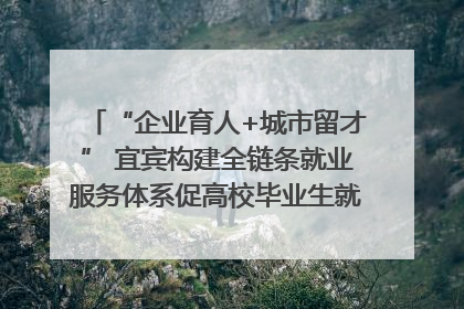 “企业育人+城市留才” 宜宾构建全链条就业服务体系促高校毕业生就业｜您牵挂的四川