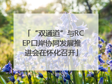 “双通道”与RCEP口岸协同发展推进会在怀化召开