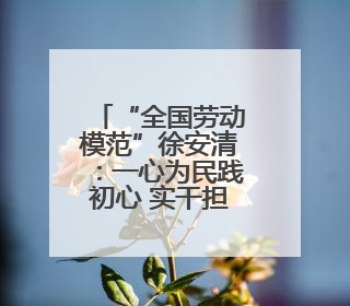“全国劳动模范”徐安清:一心为民践初心 实干担当铸忠诚