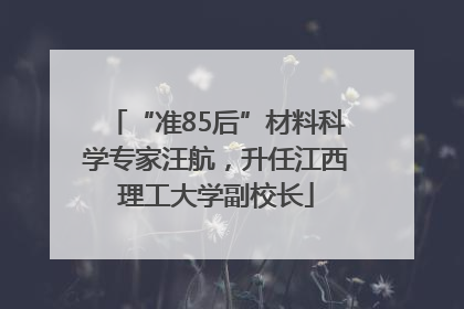 “准85后”材料科学专家汪航，升任江西理工大学副校长