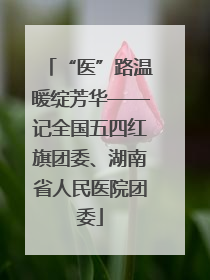 “医”路温暖绽芳华——记全国五四红旗团委、湖南省人民医院团委