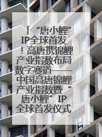 “唐小鲤”IP全球首发！高唐携锦鲤产业指数布局数字赛道——中国高唐锦鲤产业指数暨“唐小鲤”IP全球首发仪式在杭州举行