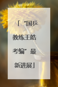 “国乒教练王皓考编”最新进展