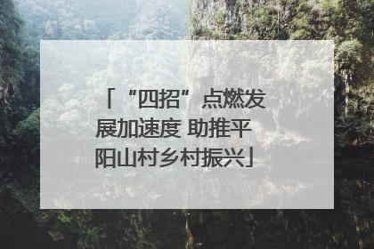 “四招”点燃发展加速度 助推平阳山村乡村振兴