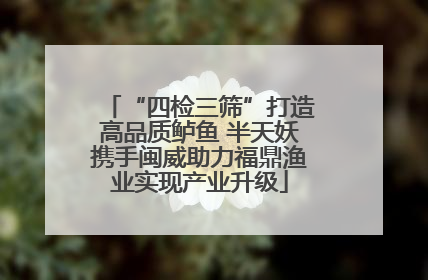 “四检三筛”打造高品质鲈鱼 半天妖携手闽威助力福鼎渔业实现产业升级