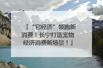 “它经济”领跑新消费！长宁打造宠物经济消费新场景！