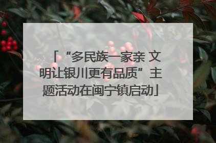 “多民族一家亲 文明让银川更有品质”主题活动在闽宁镇启动