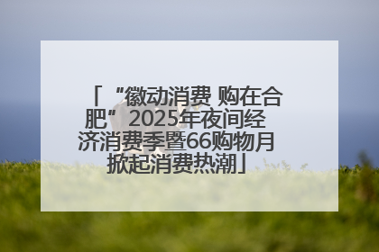 “徽动消费 购在合肥”2025年夜间经济消费季暨66购物月掀起消费热潮