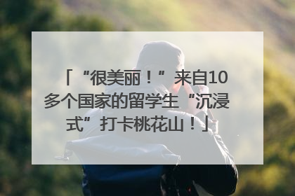 “很美丽！”来自10多个国家的留学生“沉浸式”打卡桃花山！