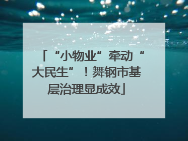 “小物业”牵动“大民生”！舞钢市基层治理显成效