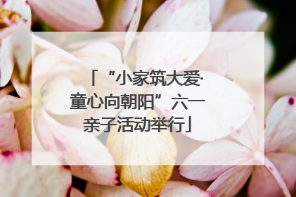 “小家筑大爱·童心向朝阳”六一亲子活动举行