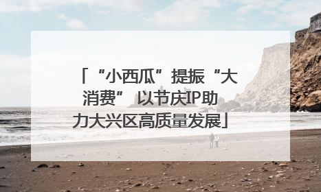 “小西瓜”提振“大消费” 以节庆IP助力大兴区高质量发展