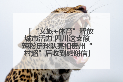 “文旅+体育”释放城市活力 四川这支酸辣粉足球队亮相贵州“村超”后收到感谢信