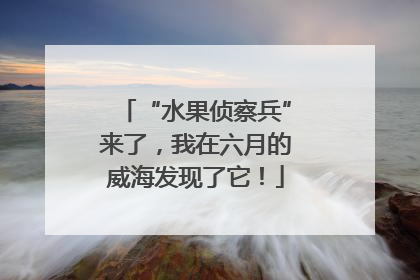 “水果侦察兵”来了，我在六月的威海发现了它！