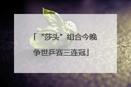 “莎头”组合今晚争世乒赛三连冠
