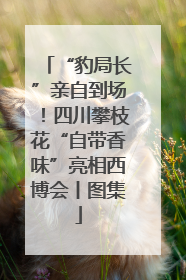 “豹局长”亲自到场！四川攀枝花“自带香味”亮相西博会丨图集