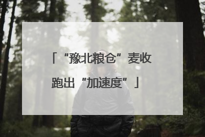 “豫北粮仓”麦收跑出“加速度”