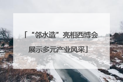 “邻水造”亮相西博会 展示多元产业风采