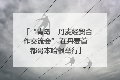“青岛—丹麦经贸合作交流会” 在丹麦首都哥本哈根举行
