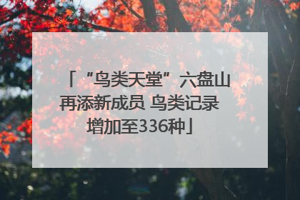“鸟类天堂”六盘山再添新成员 鸟类记录增加至336种