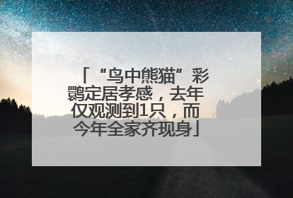 “鸟中熊猫”彩鹮定居孝感，去年仅观测到1只，而今年全家齐现身