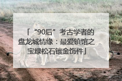 “90后”考古学者的盘龙城情缘：最爱镇馆之宝绿松石镶金饰件