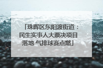 珠晖区东阳渡街道：民生实事人大票决项目落地 气排球赛点燃