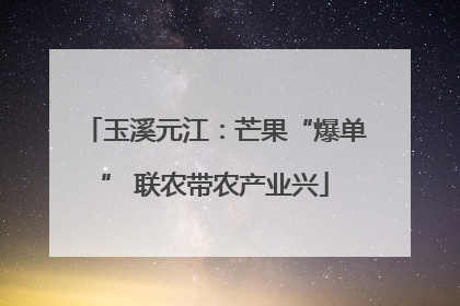 玉溪元江：芒果“爆单” 联农带农产业兴