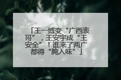 王一博变“广西表哥”，王安宇成“王安全”！谁来了两广都得“腌入味”