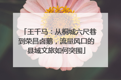 王千马：从桐城六尺巷到荣昌卤鹅，流量风口的县域文旅如何突围