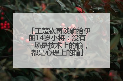 王楚钦再谈输给伊朗14岁小将：没有一场是技术上的输，都是心理上的输