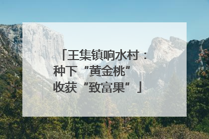 王集镇响水村：种下“黄金桃” 收获“致富果”
