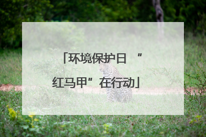 环境保护日 “红马甲”在行动
