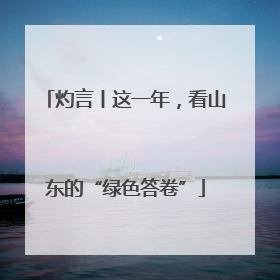 灼言丨这一年，看山东的“绿色答卷”