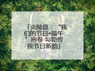 炎陵县：“我们的节日•端午”画卷 勾勒传统节日新韵